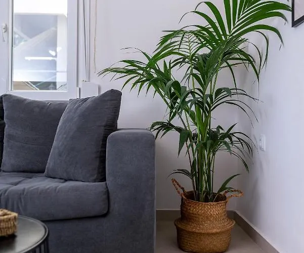 Spacious & Luxe 3br Downtown 1min To * Kos-stad