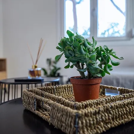 アパート Spacious & Luxe 3br Downtown 1min To コス・タウン